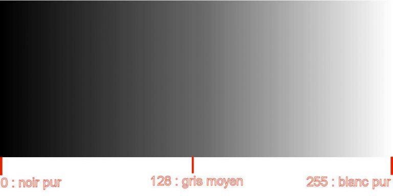 Echelle graduée de 0 à 255 définissant 256 niveaux de gris. Chaque point de l’image est codé selon cette échelle en fonction de sa luminosité.